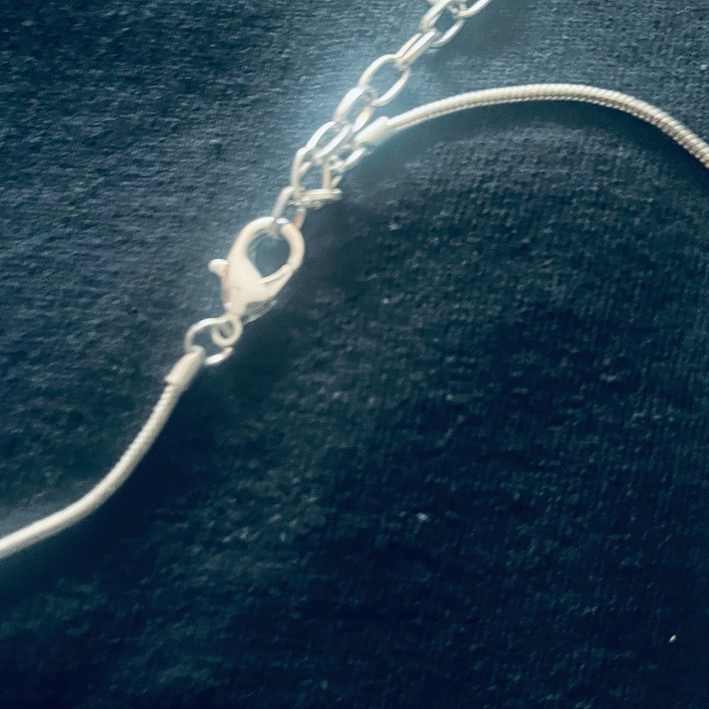 Never Worn-Stainless steel polish necklace from France - Picture 5 of 5